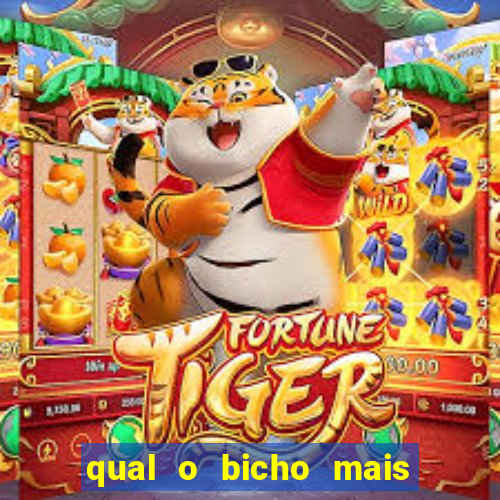 qual o bicho mais velho da loteria dos sonhos